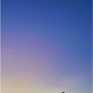 Meet your Posher, Marx